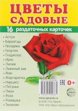 Обучающая игра/пособие Sfera Демонстрационные картинки Цветкова т.В. Супер. Цветы Садовые 00-00003604
