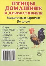 Обучающая игра/пособие Sfera Демонстрационные картинки Супер птицы Домашние и Декоративные 00-00003236