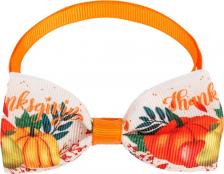 Одежда для кошек Petmax Галстук-бант для кошек и собак Тыквы, 20-35 см, оранжевый