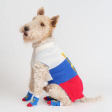 Одежда для кошек Petmax Свитер для кошек и собак Love, L, сине-красный