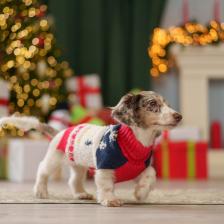 Одежда для кошек Petmax Свитер для кошек и собак Merry Christmas, S, красно-синий