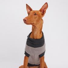 Одежда для кошек Petmax Свитер с аппликацией для кошек и собак, 55 см, серый