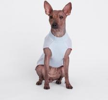 Одежда для кошек Petmax Свитер с оленем для кошек и собак, XL, голубой