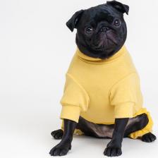 Одежда для кошек Rurri Костюм флисовый с бантом для кошек и собак, XL, желтый