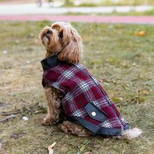 Одежда для собак Не Один Дома Жилетка для собак Rock, красная, XL, длина спинки 45см