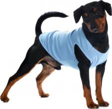 Одежда для собак Petmax Футболка для собак, 2XL, синяя с принтом (унисекс)