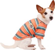 Одежда для собак Petmax Футболка для собак, L, оранжевая (унисекс)