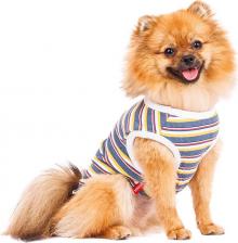 Одежда для собак Petmax Футболка для собак, XS, в разноцветную полоску (унисекс)