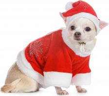Одежда для собак Petmax Колпак Деда Мороза для собак, S красный (унисекс)