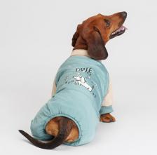 Одежда для собак Petmax Комбинезон для собак, 2XL, голубой (девочка)