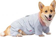 Одежда для собак Petmax Комбинезон для собак, 2XL, голубой (девочка) 4680368258426