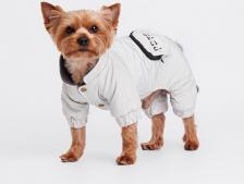 Одежда для собак Petmax Комбинезон с кармашком для собак, M, серый