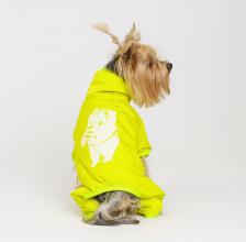 Одежда для собак Petmax Комбинезон салатовый с медведем M
