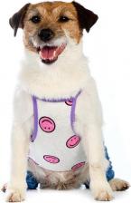 Одежда для собак Petmax Костюм летний для собак XS синий (унисекс)