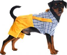 Одежда для собак Petmax Костюм с рубашкой для собак XS желтый (унисекс)