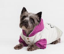 Одежда для собак Petmax Куртка с капюшоном для собак, XL, серо-фиолетовая