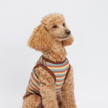Одежда для собак Petmax Майка полосатая с ленивцем для собак, 4XL, коричневая