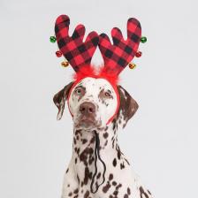 Одежда для собак Petmax Ободок безразмерный для собак Рога оленьи, коричневый