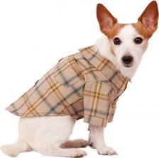 Одежда для собак Petmax Рубашка для собак, M, бежевая с бантиком (унисекс)