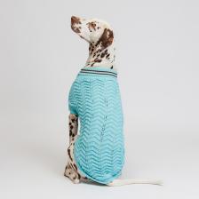 Одежда для собак Petmax Свитер для собак, 4XL, голубой (унисекс)