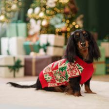 Одежда для собак Petmax Свитер красный птички 4XL