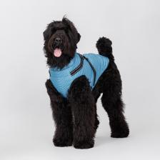 Одежда для собак RunGo Попона теплая со шлейкой для собак, 4XL, синяя