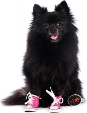 Одежда для собак Rurri Кеды джинсовые для собак L розовый (унисекс)