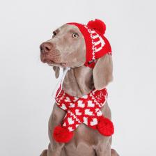 Одежда для собак Rurri Комплект для собак, шапка 39х16,5 см, шарф 70х7 см, красный