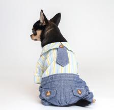 Одежда для собак Rurri Костюм джинсовый с рубашкой M
