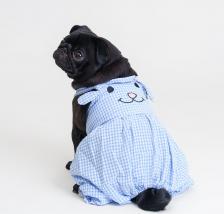 Одежда для собак Rurri Платье в клетку для собак, XL, синее