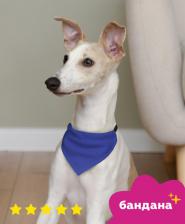 Одежда для собак Tappi Бандана для собак синяя, размер L
