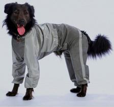 Одежда для собак Тузик Комбинезон для собак Самоедская лайка мужской, в ассортименте, длина спины 37 см