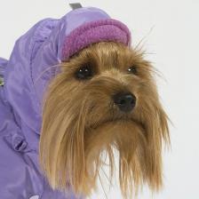 Одежда для собак Тузик Шапка для собак №0 теплая, плащевка, флис