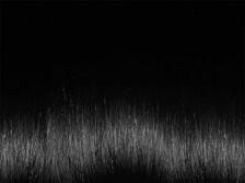 Окрашивание волос TNL Professional Крем-краска для волос, Million Gloss 9.2