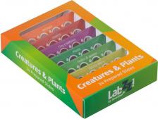 Оптический аксессуар Levenhuk Набор микропрепаратов LabZZ CP24, существа и растения