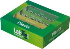 Оптический аксессуар Levenhuk Набор микропрепаратов LabZZ P12, растения