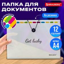 Папка/конверт Brauberg Папка-органайзер на резинке 12 отделений, " Glassy", A4, прозрачная