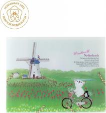 Папка/конверт Comix Папка-конверт пластиковая на резинке А4 Traveling География "Нидерланды"