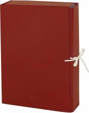 Папка/конверт Samson Папка NO NAME 120298, комплект 5 шт