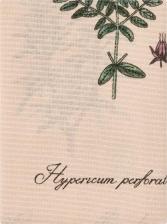Полотенце Унисон Набор вафельных полотенец 45х60 (3 шт.) 33184-1 Botanica