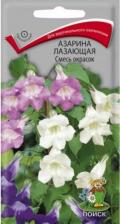 Посадочный Материал Азарина Лазающая
