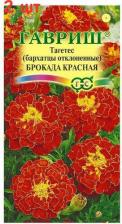 Посадочный Материал Бархатцы Брокада