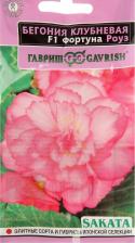 Посадочный Материал Бегония Фортуна