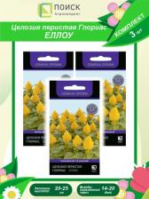 Посадочный Материал Целозия Перистая Глориас