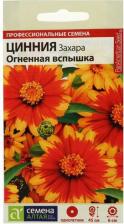 Посадочный Материал Цинния Захара Огненная вспышка