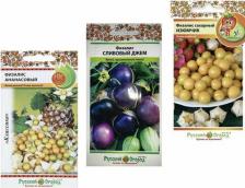 Посадочный Материал Физалис Сливовый Джем