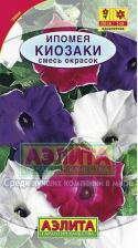 Посадочный Материал Ипомея Киозаки