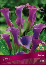 Посадочный Материал Калла Пако