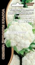 Посадочный Материал Капуста цветная Само Совершенство