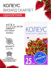 Посадочный Материал Колеус Визард